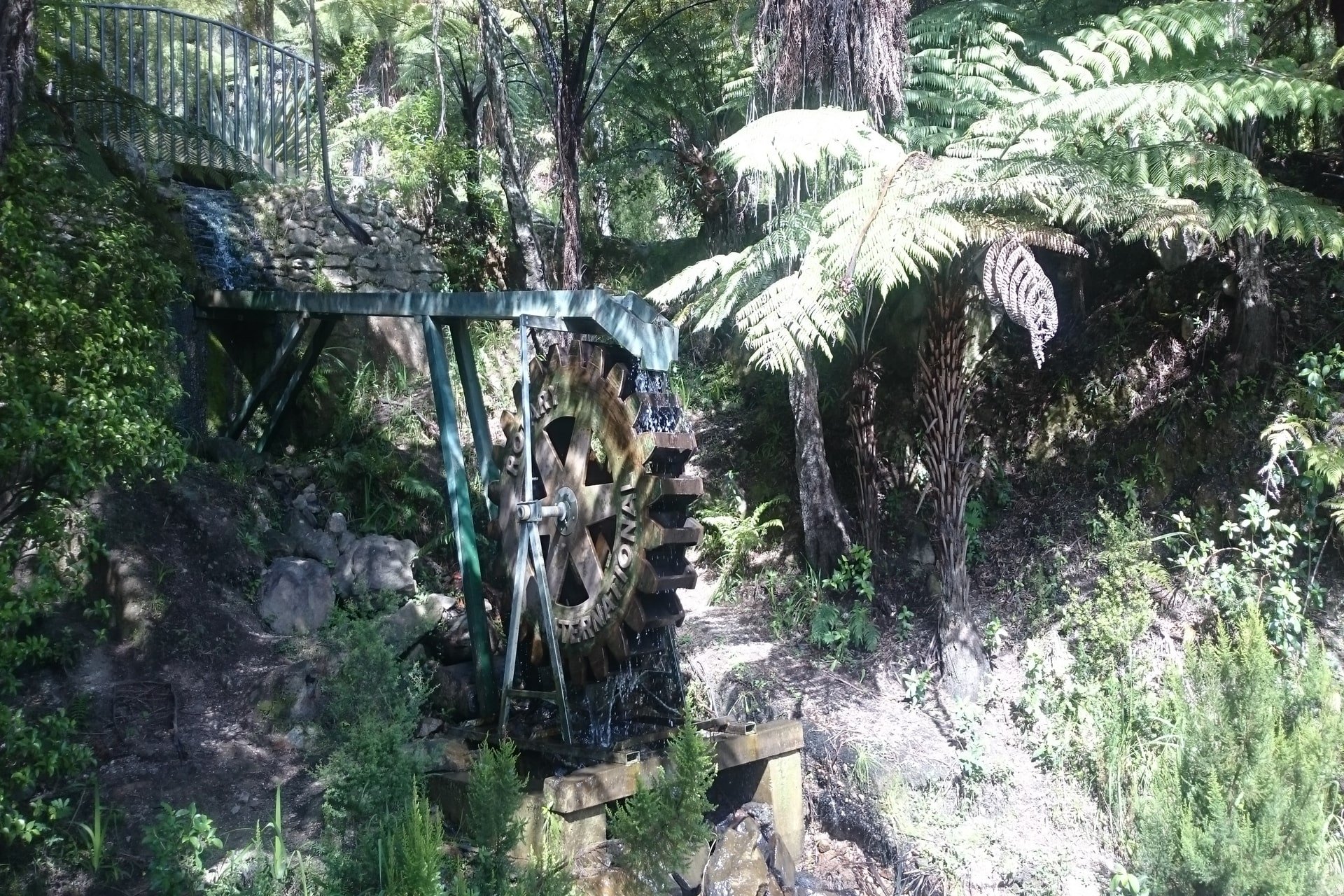 Te Puna Quarry Park | Tauranga's Most Unique Garden Park