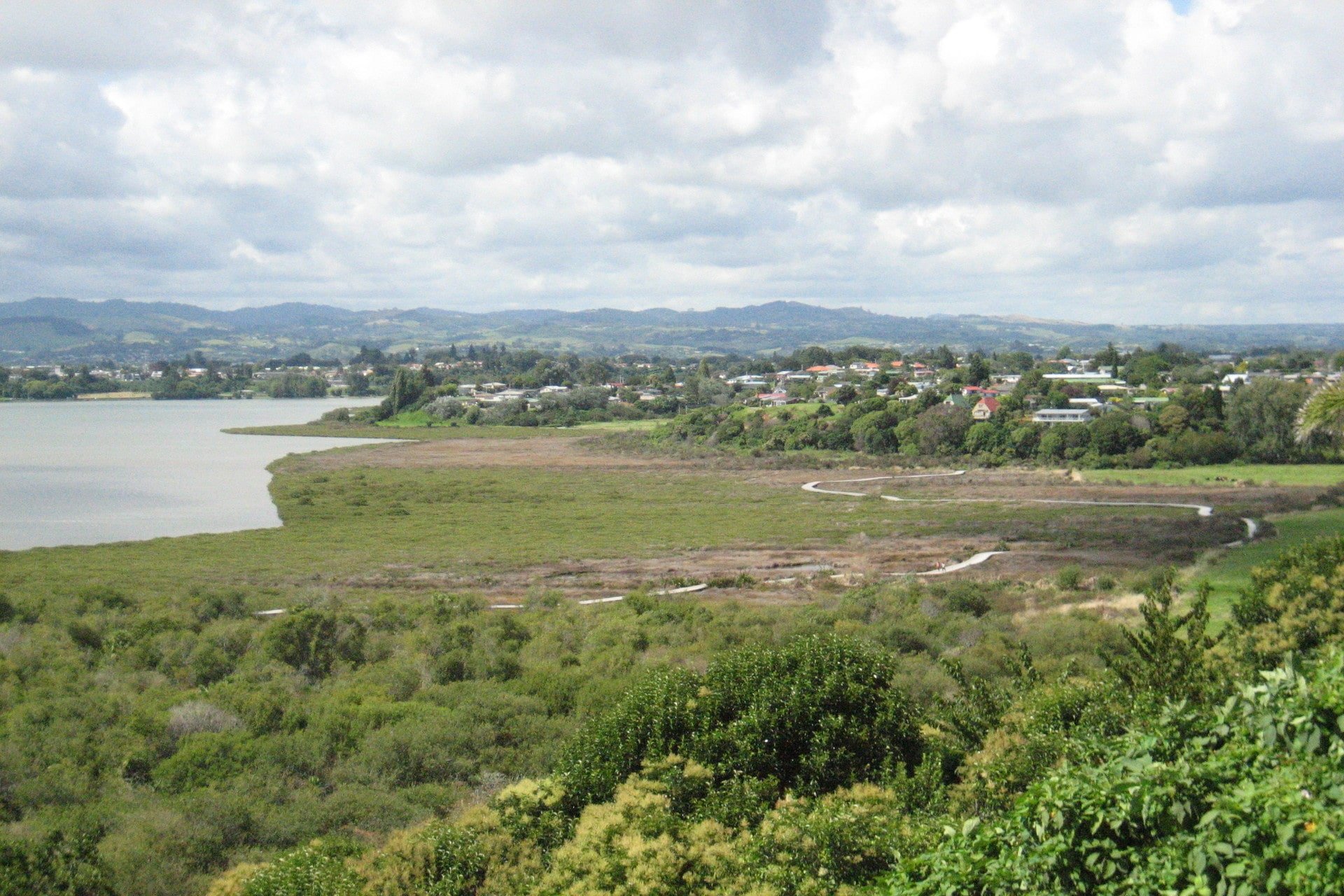 Waikareao Estuary | Discover the greatest walks with Explore Tauranga