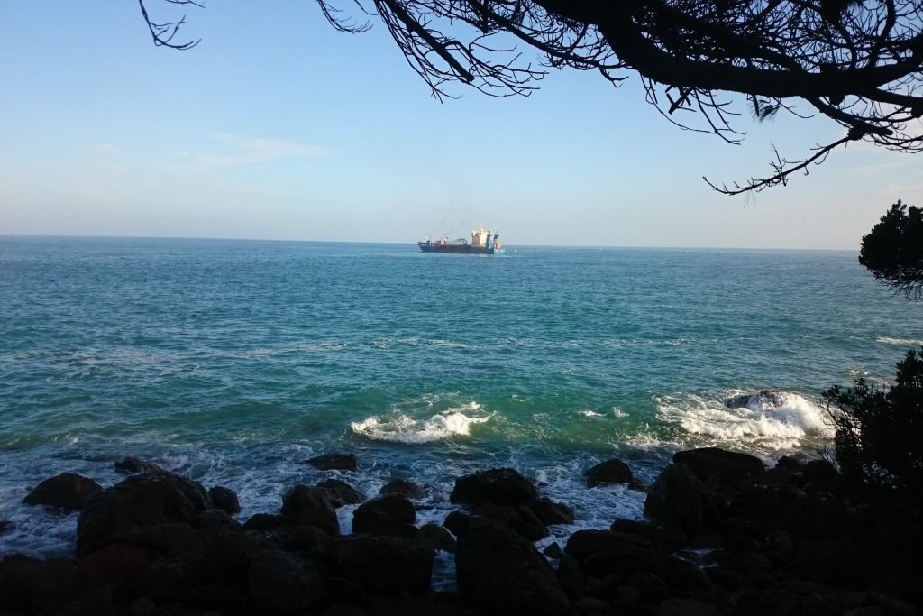 View of ship in ocean from Mount Base Track