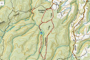 Topograhic image of walking tracks in Aongatete