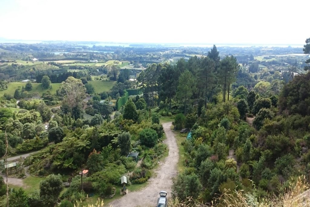 Scenic View from Te Puna Quarry Park
