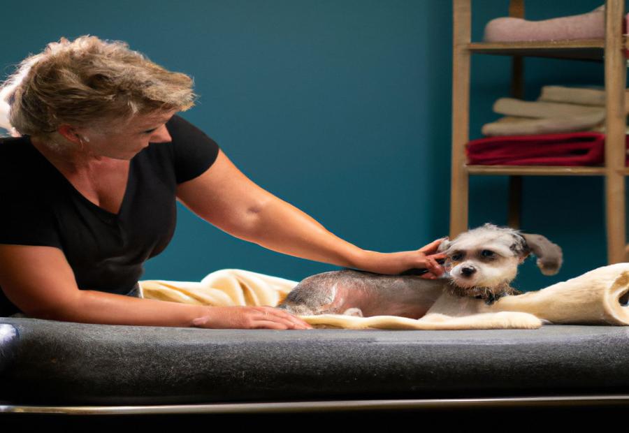 A Pet Lover's Guide to Tauranga Explore Tauranga