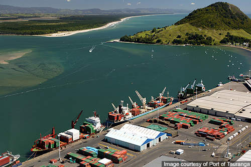 Port of Tauranga: Largest and Busiest New Zealand Port