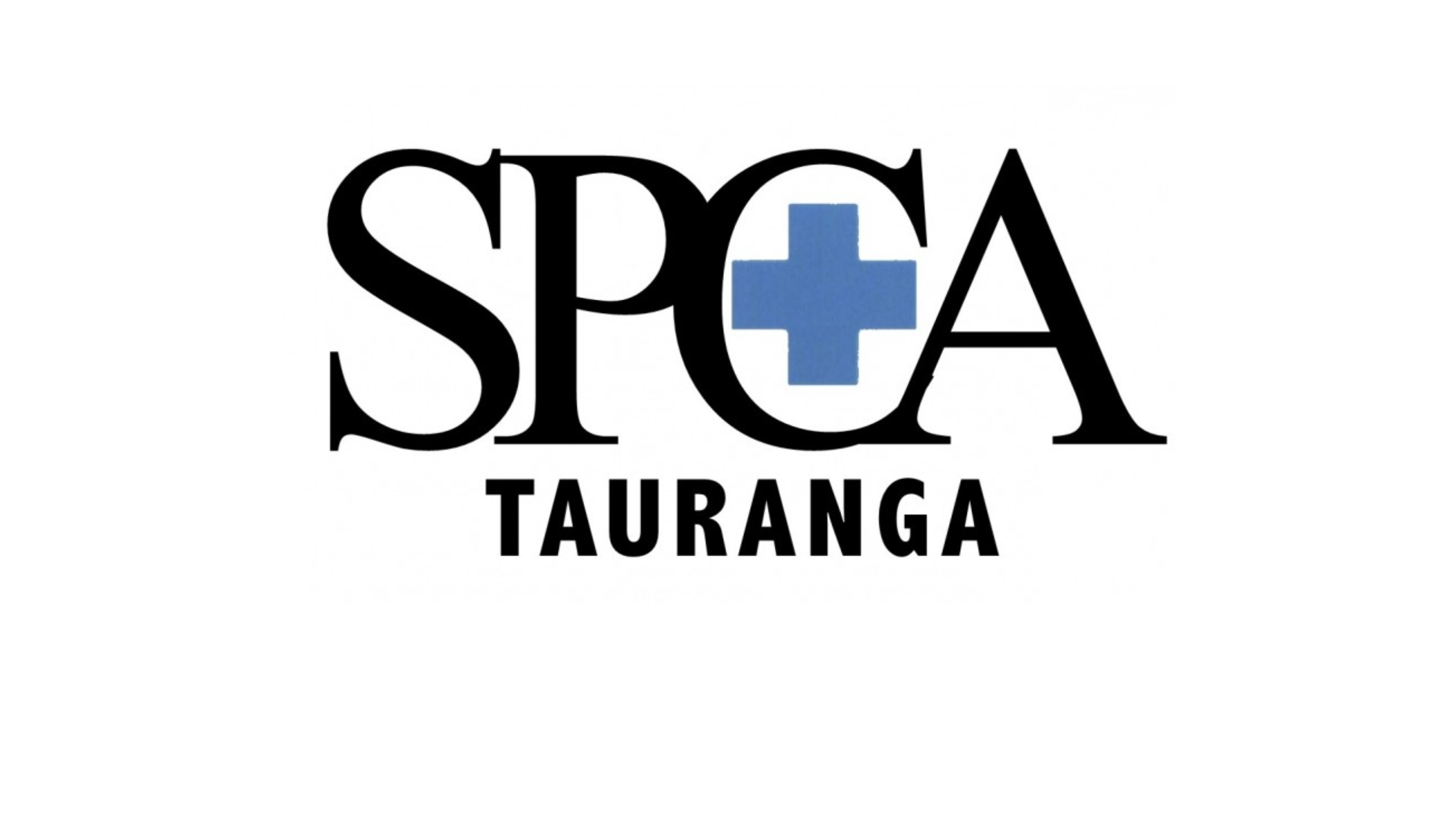 Tauranga SPCA | Promoting Animal Welfare in Tauranga