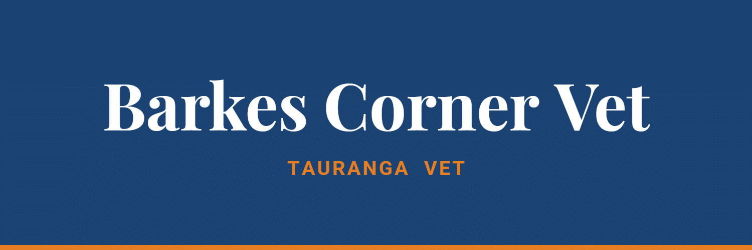 Barkes Corner Veterinary Hospital - Vets in Tauranga