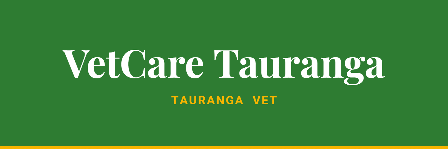 VetCare Tauranga - Vets in Tauranga