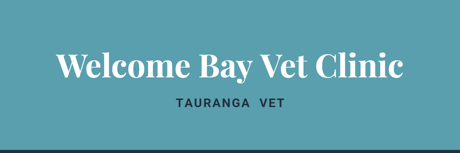 Welcome Bay Vet Clinic - Vets in Tauranga