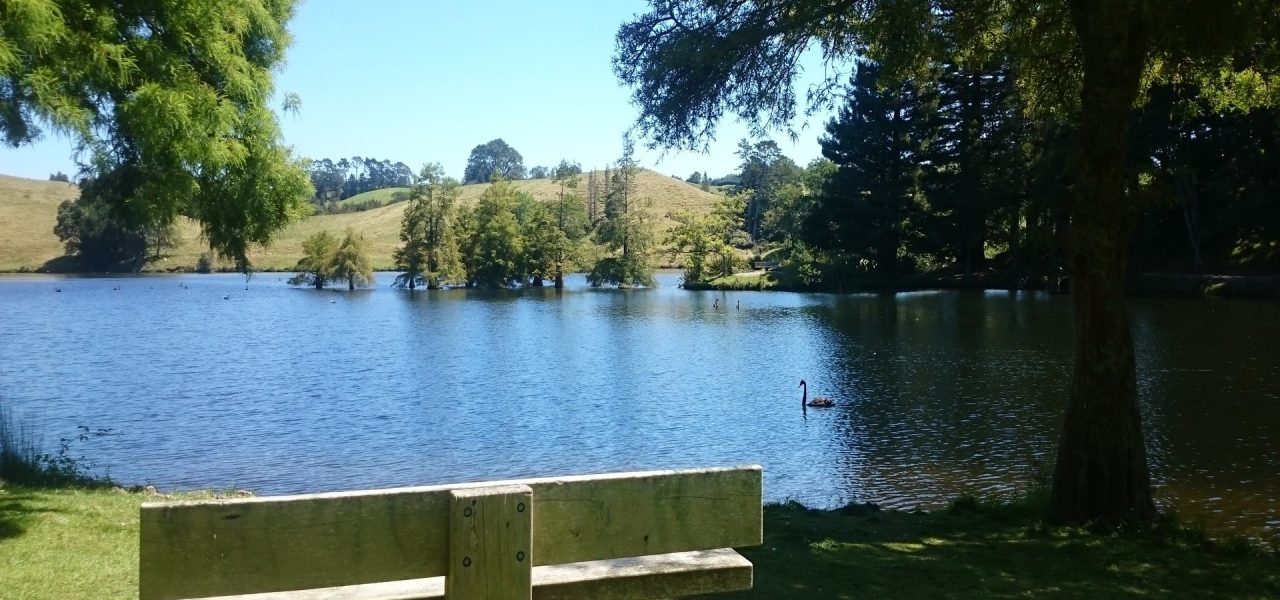 Kayaking at McLaren Falls